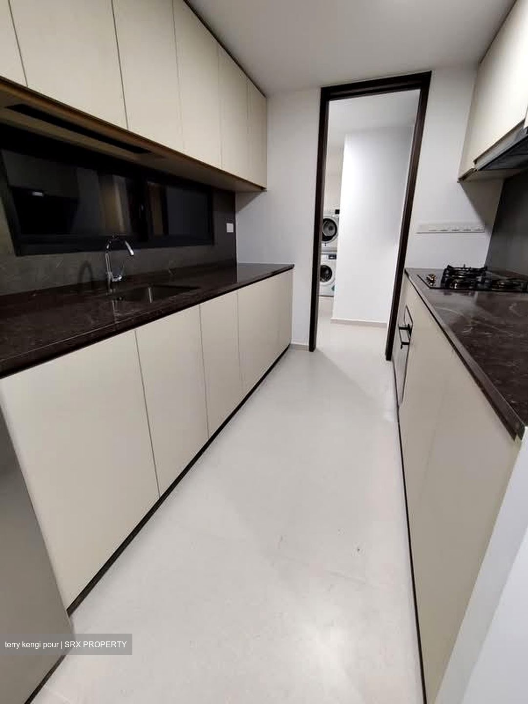 Kopar At Newton (D9), Apartment #601028021